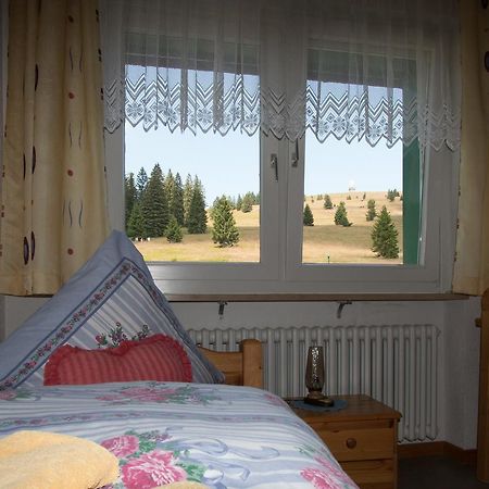 Berggasthof-Pension Todtnauer Hutte Feldberg  Buitenkant foto