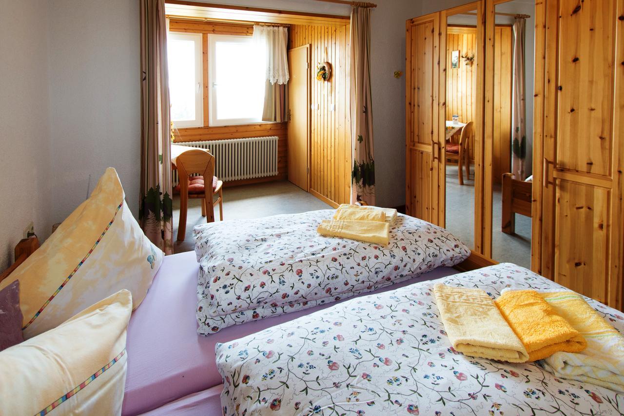 Berggasthof-Pension Todtnauer Hutte Feldberg  Buitenkant foto