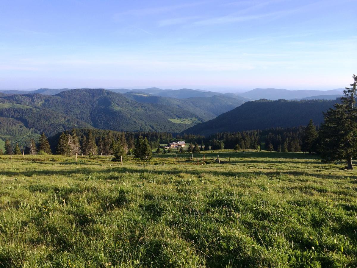 Berggasthof-Pension Todtnauer Hutte Feldberg  Buitenkant foto