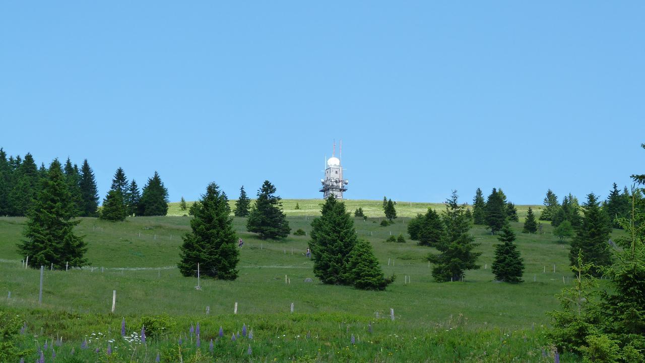 Berggasthof-Pension Todtnauer Hutte Feldberg  Buitenkant foto
