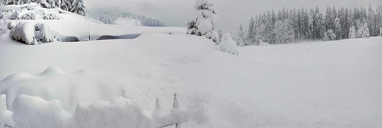 Berggasthof-Pension Todtnauer Hutte Feldberg  Buitenkant foto